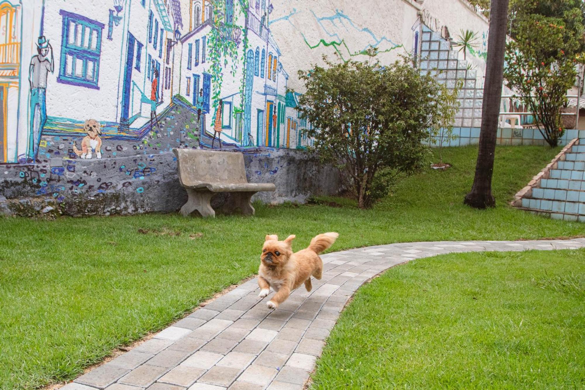 Woods Hostel Μπέλο Οριζόντε Εξωτερικό φωτογραφία